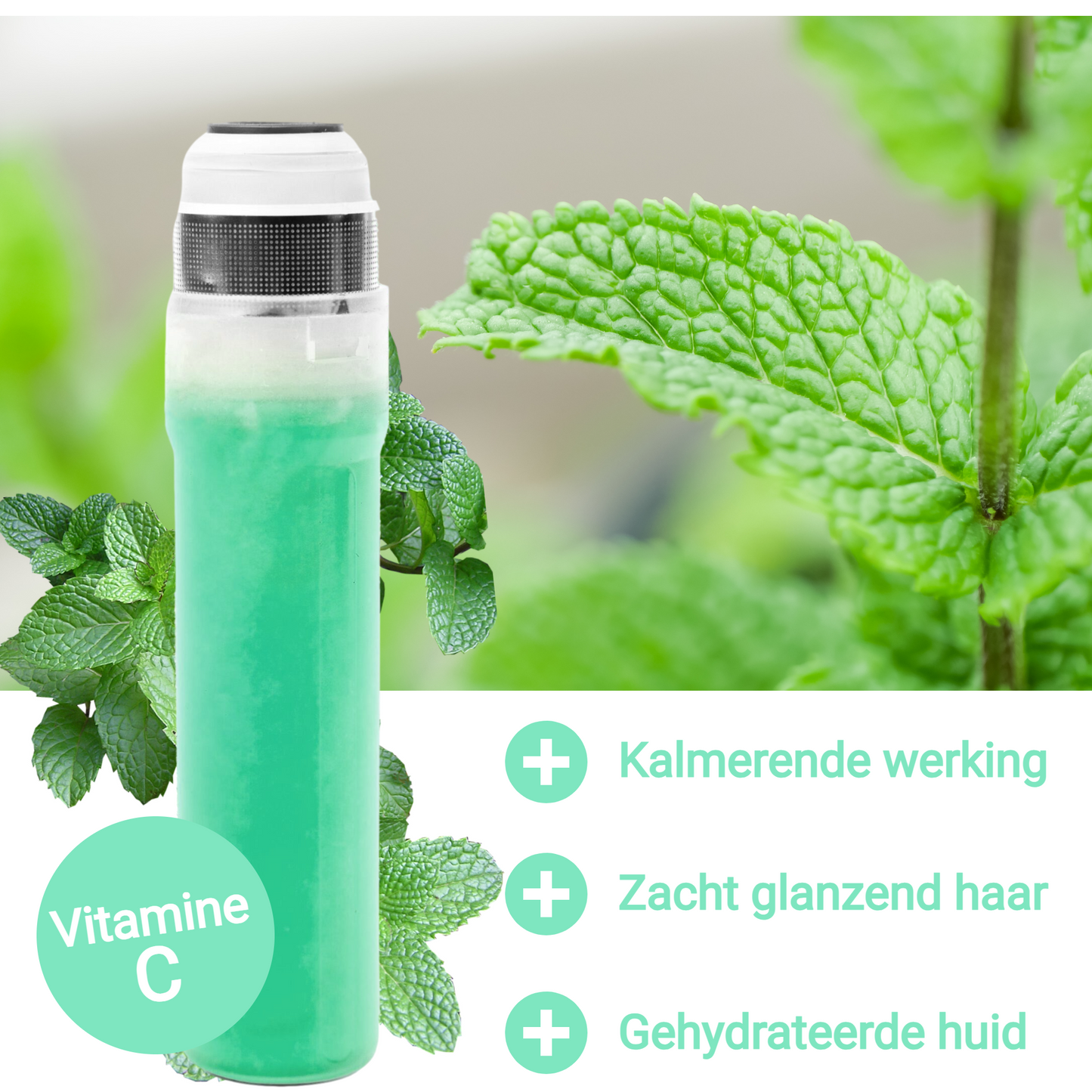 Vitasense Waterfilter Fresh Mint