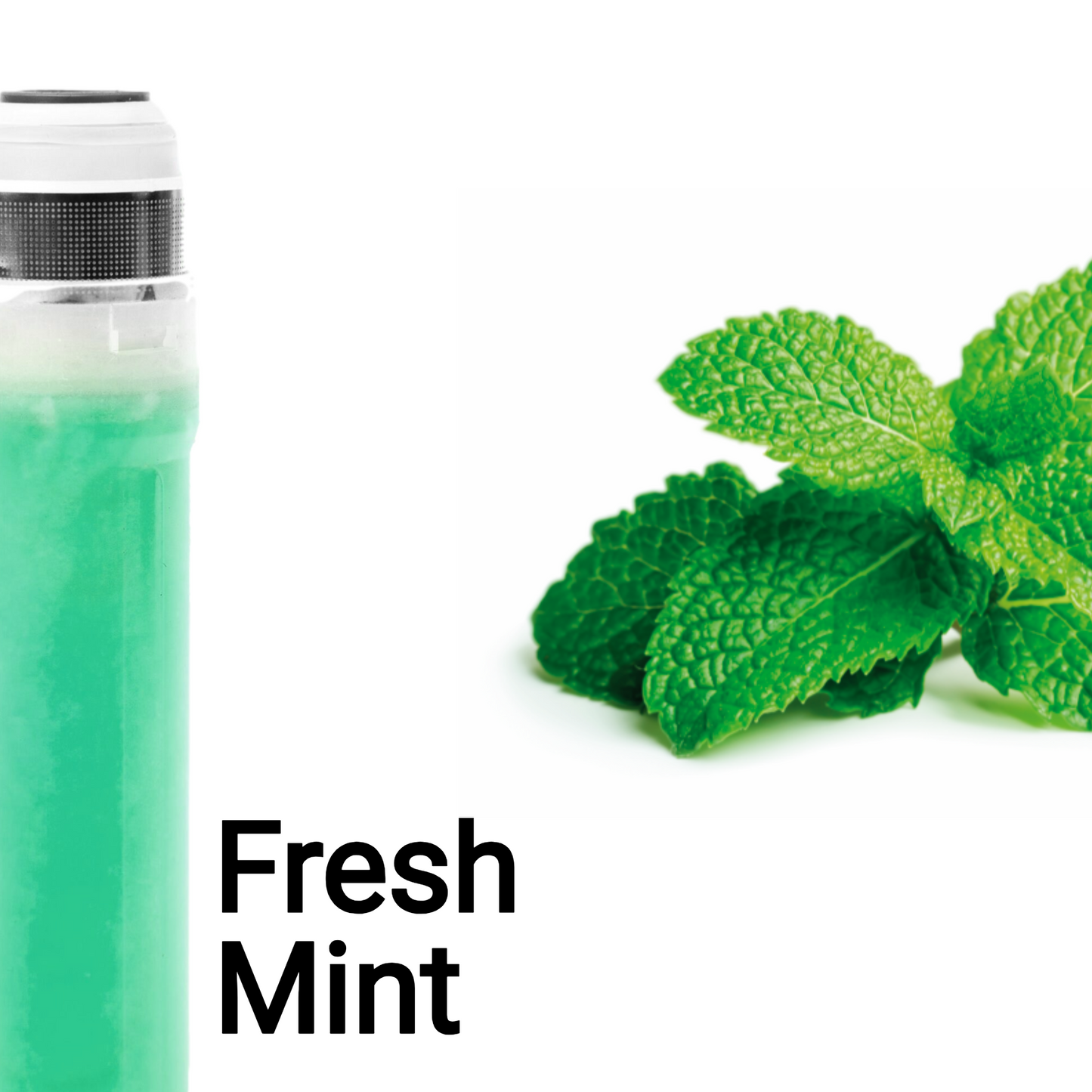Vitasense Waterfilter Fresh Mint *** Binnenkort verwacht ***